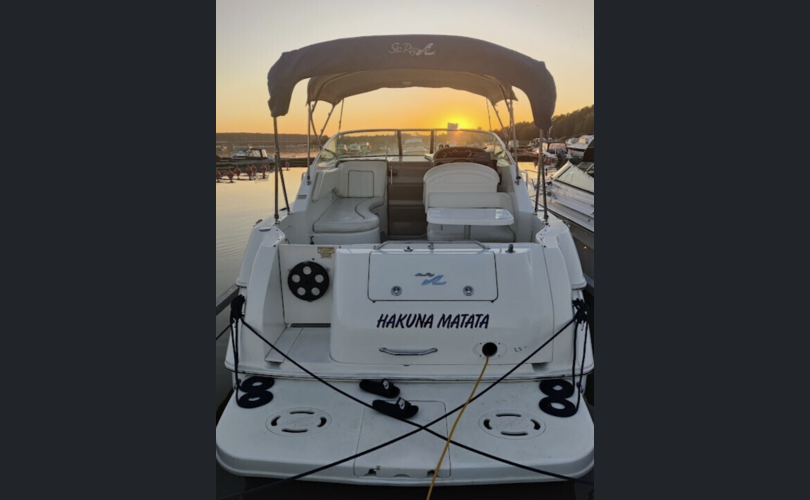 Sea Ray 270 Sundancer DA-kuva-3
